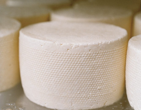 Az Yağlı Kültürlü Peynir